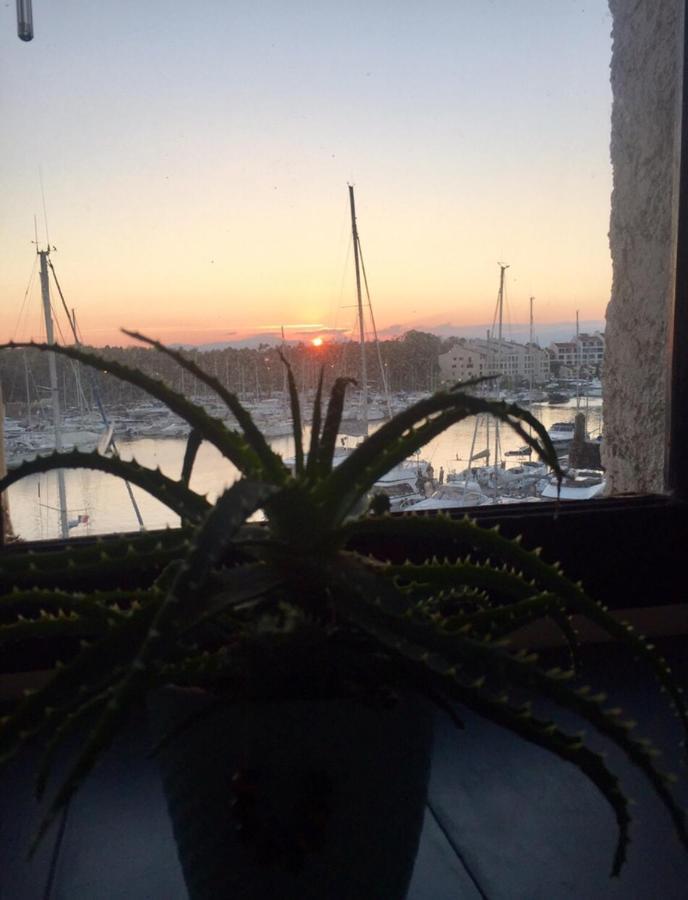 Petit Cocon Magnifique Vue Sur Marina Dans Le Golfe De Saint Tropez Lägenhet Cogolin Exteriör bild