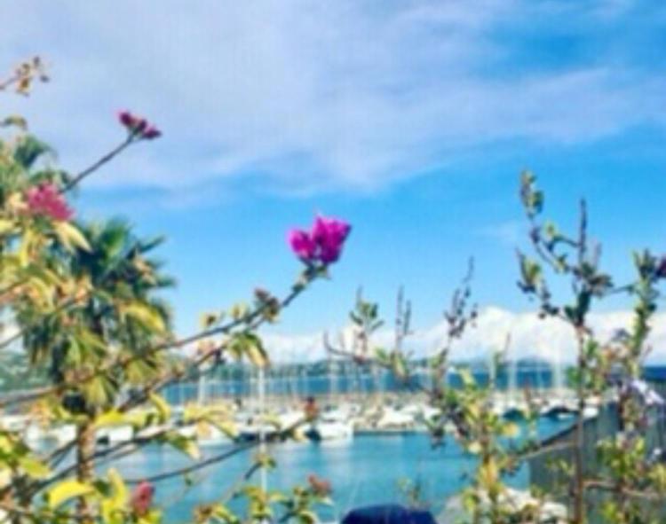 Petit Cocon Magnifique Vue Sur Marina Dans Le Golfe De Saint Tropez Lägenhet Cogolin Exteriör bild
