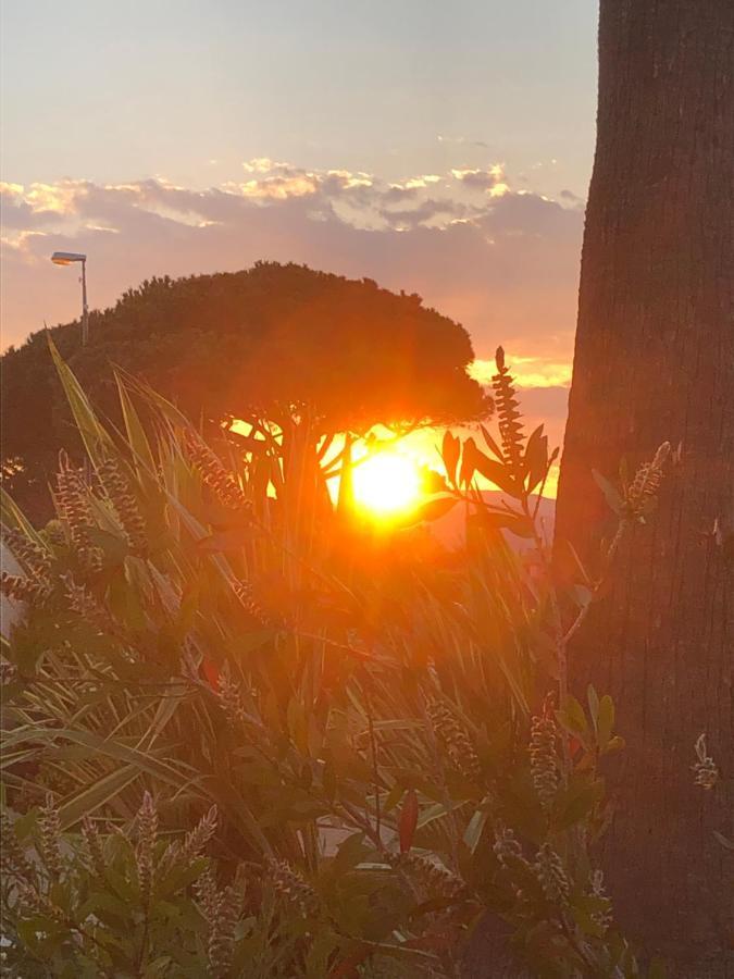 Petit Cocon Magnifique Vue Sur Marina Dans Le Golfe De Saint Tropez Lägenhet Cogolin Exteriör bild