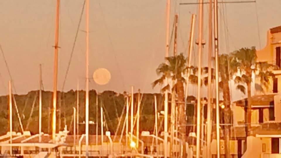 Petit Cocon Magnifique Vue Sur Marina Dans Le Golfe De Saint Tropez Lägenhet Cogolin Exteriör bild